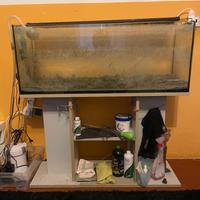 acquario 100 lt completo