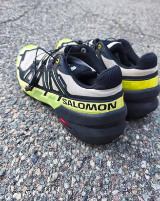 Salomon Speed cross 6 GTX