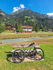 Specialized cross country 