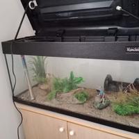 acquario con mobiletto 