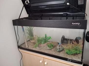 acquario con mobiletto 