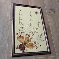 quadro fiori essiccati. cornice antica vintage