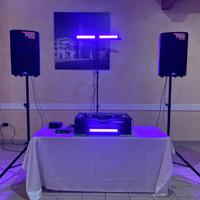 Coppia Casse Alto TX315 - Potenti per Dj ed eventi