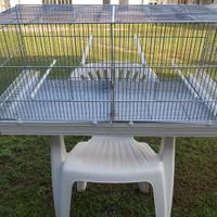 Canarini gabbia da 120 cm