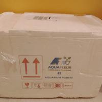 Box polistirolo 