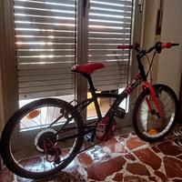 bicicletta 