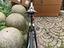 Immagine 5