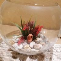 Acquario boccia in vetro