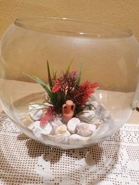 Acquario boccia in vetro