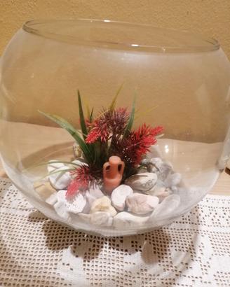 Acquario boccia in vetro