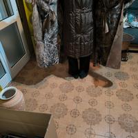 montone cappotto 