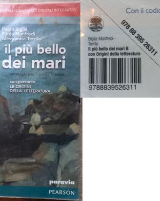 IL PIU BELLO DEI MARI_ISBN 9788839526311