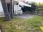 Immagine 11