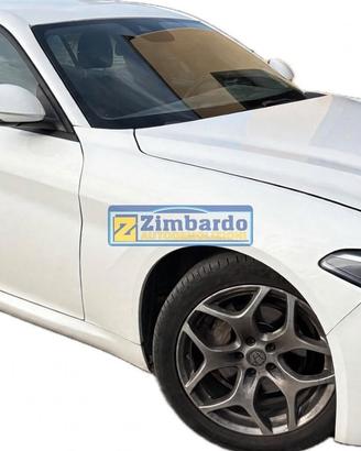 RICAMBI VARI ALFA ROMEO GIULIA 2.2 DIESEL Q2 DEL 2