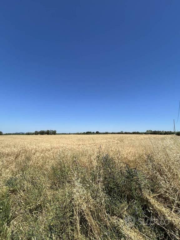 Rustico / Casale di 20040 m² a Tuscania - Vista 3