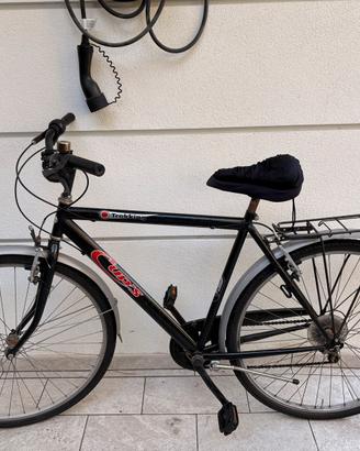 Bicicletta uomo Cup’s