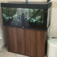 Acquario 120LT