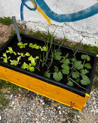 Orto autoirrigante in cassone