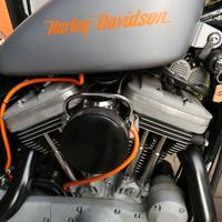 Harley davidson 1200 4 candele 