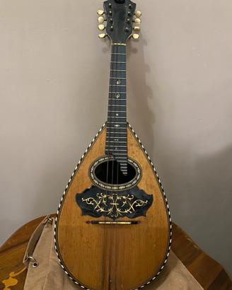 Mandolino napoletano 1900 antico
