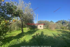 Terreno, Capo d'Orlando.