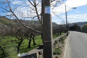 Via pisani terreno agricolo ott.imo prezzo