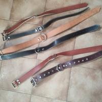 collari per cane