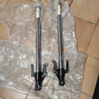 Steli e Molle Triumph Street Triple 675