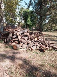 legno