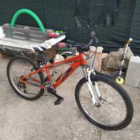 MTB alluminio raggio 24
