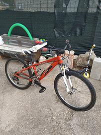 MTB alluminio raggio 24