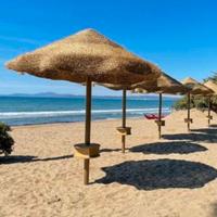 Coperture per ombrelloni esotici