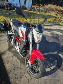 Benelli bn251