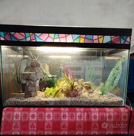 acquario con luce interna