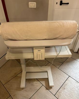 Stiratrice professionale