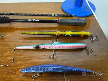 Canna daiwa evolution e artificiali