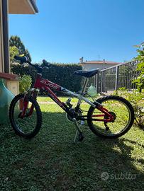 Biciletta mtb Elios