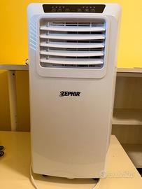 Condizionatore/ pinguino