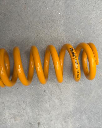 Molla ohlins