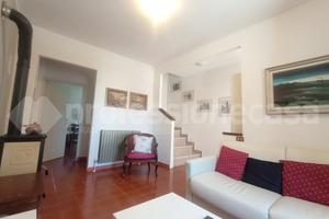 Terratetto Ateleta [Cod. rif 4225VRG]