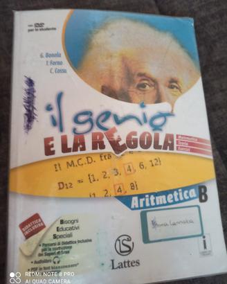 il genio e la regola