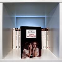 Ragione e sentimento