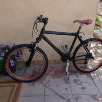 MTB bici 