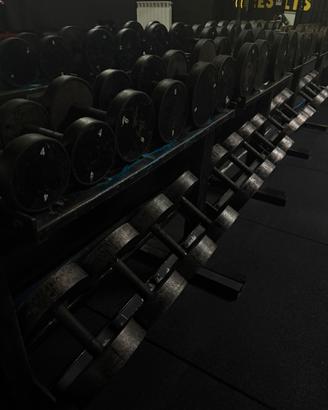 Manubri palestra  calibrati