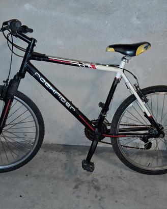 bicicletta alluminio ammortizzata 