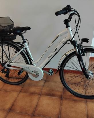 bicicletta elettrica 