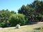 Immagine 14