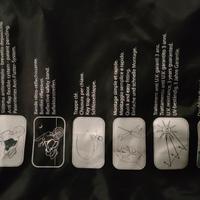 para gambe invernale 