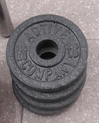 Disco in ghisa palestra 1,25Kg