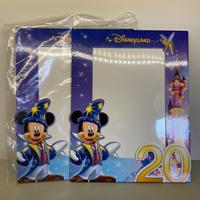 2 cornici foto disneyland 20 anni VINTAGE